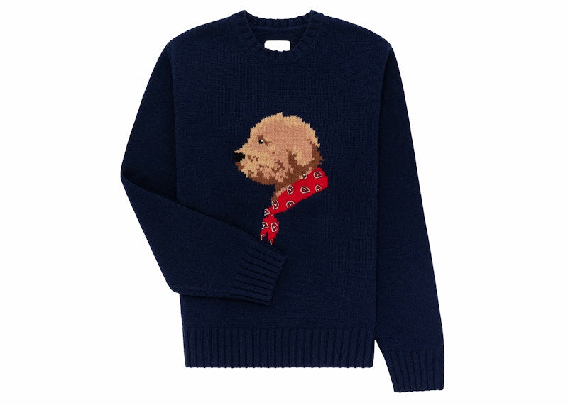 Aime Leon Dore Collegiate Buddy Knit Sweater Blue
