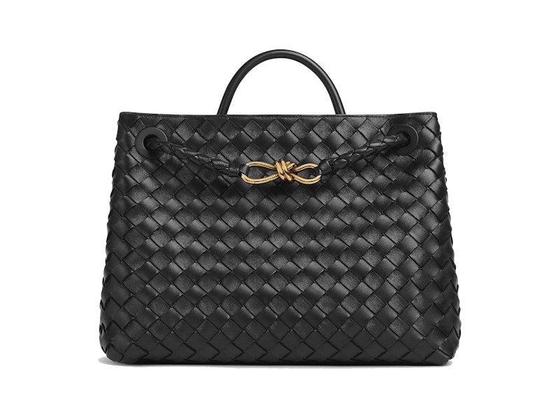 Bottega Veneta Medium Andiamo Black