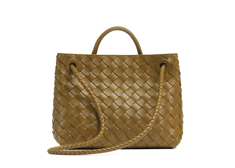 Bottega Veneta Small Andiamo Acorn