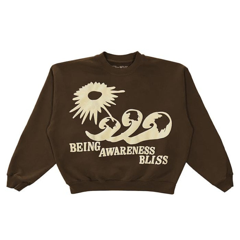 Cactus Plant Flea Market Being Awareness Bliss Crewneck Brown
