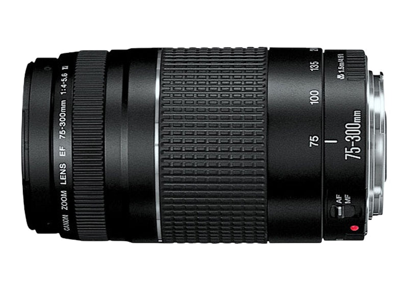 Canon EOS Rebel T7 DSLR Camera with EF18-55mm + EF 75-300mm Double Zoom Kit 2727C021