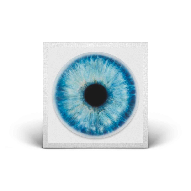Interscope Records Machine Gun Kelly - Tickets to My Downfall by Marc Quinn Gallery Vinyl Record (Signed, Edition of 100)