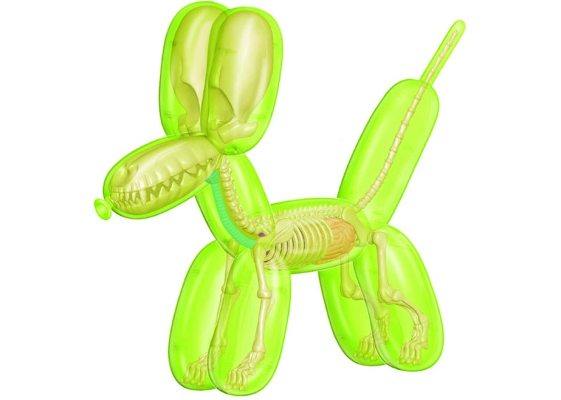 Jason Freeny 4D Master Funny Anatomy Balloon Dog Figure Clear Green