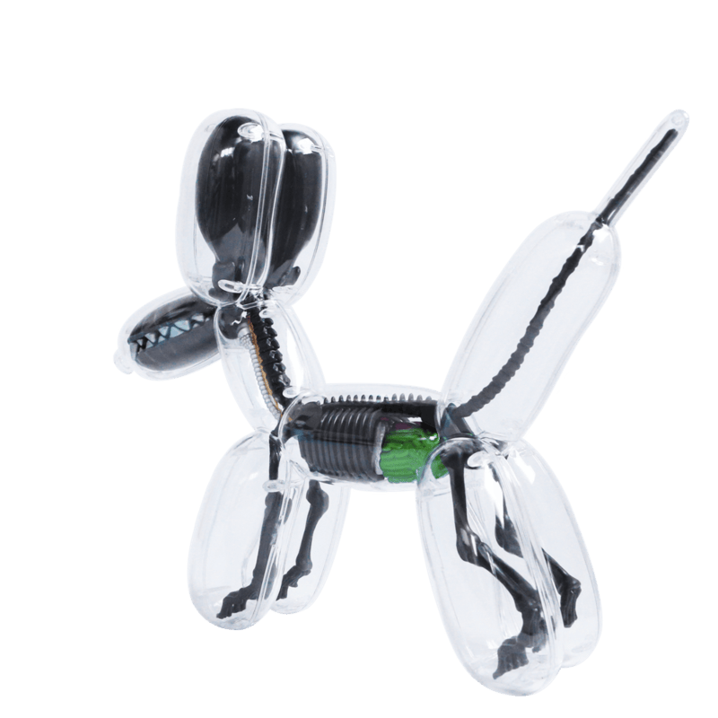 Jason Freeny Balloon Dog Anatomy (Metallic Black)