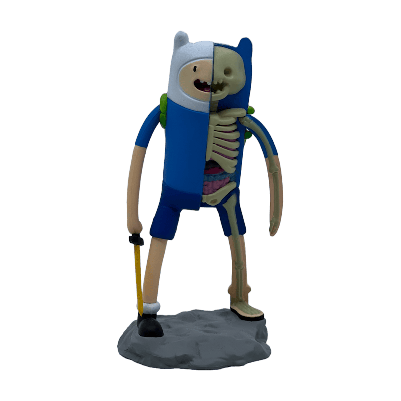 Jason Freeny XXRAY Adventure Time Finn Figure
