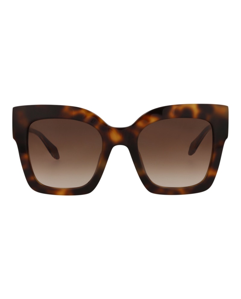 Just Cavalli Square-Frame Acetate Sunglasses Havana Havana Brown (SJC019V-52-0U62)