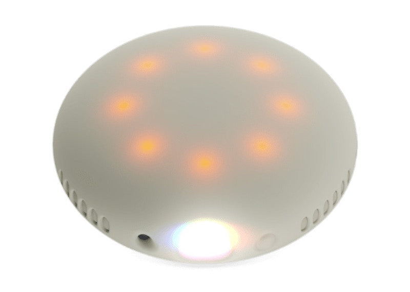 Kanye West Stem Projector