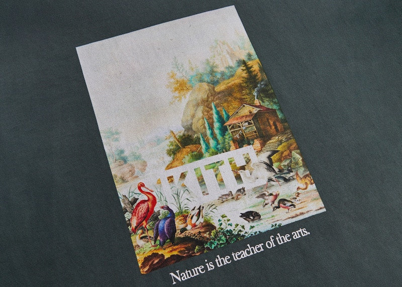 Kith Art Of Nature Vintage Tee Stadium