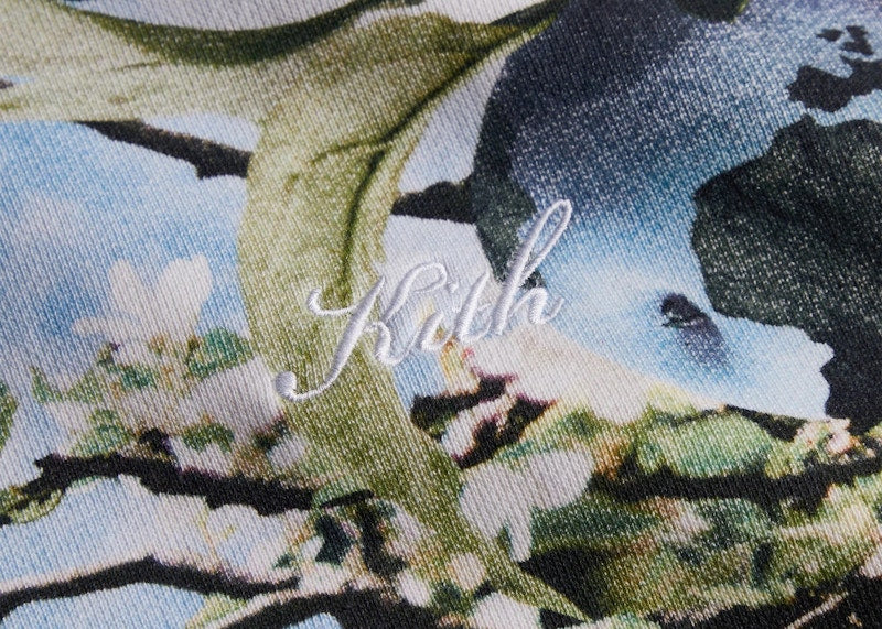 Kith NY To The World Hoodie Majestic