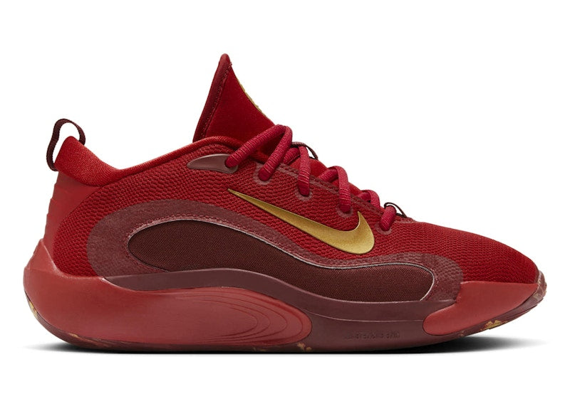 Nike IsoFly Gym Red Team Red Dark Team Red Metallic Gold (GS)
