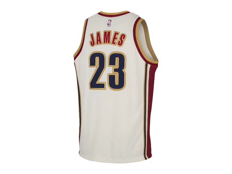 Nike LeBron James Dri-FIT NBA Jersey Multicolor