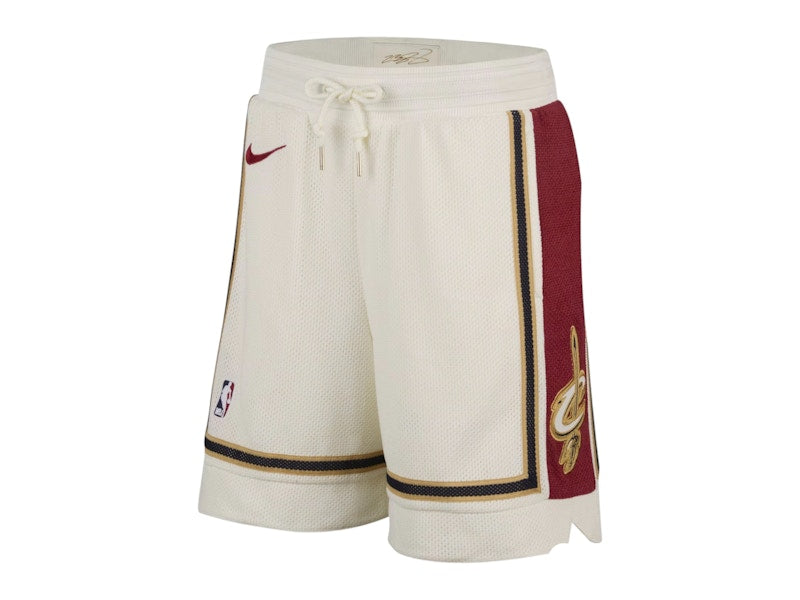 Nike LeBron James Dri-FIT NBA Shorts Multicolor