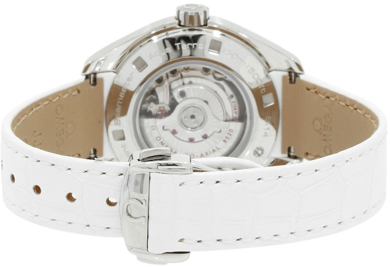 Omega Seamaster Aqua Terra 231.18.34.20.55.001