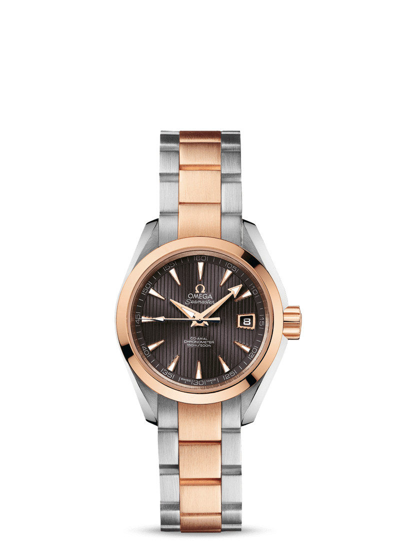 Omega Seamaster Aqua Terra 231.20.30.20.06.001