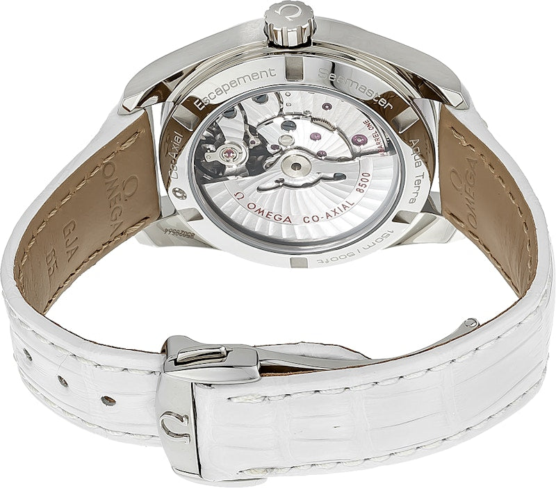 Omega Seamaster Aqua Terra Co-Axial 231.13.39.21.54.001