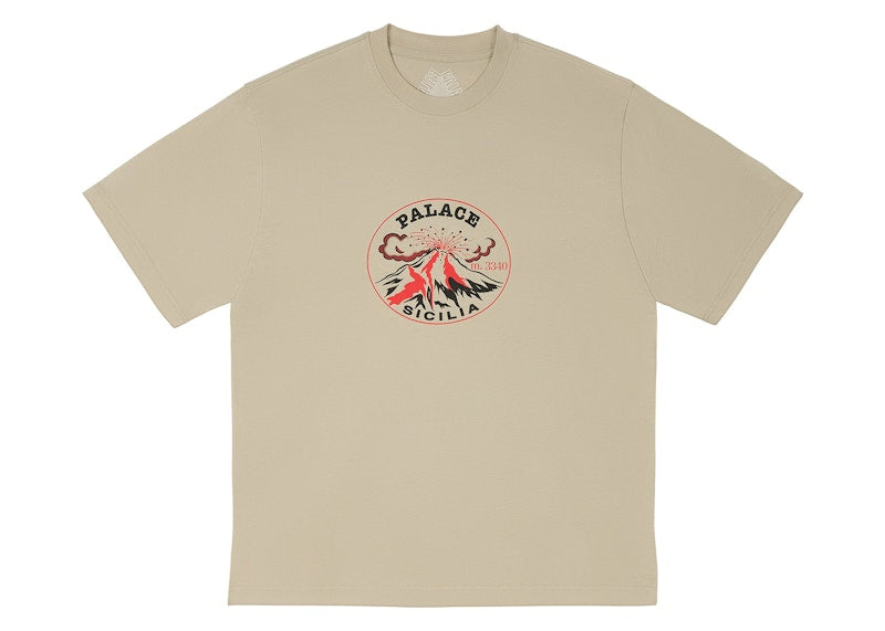 Palace Active T-Shirt Stoney Grey