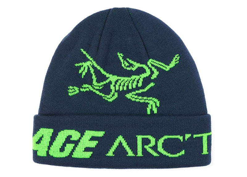 Palace Arc'teryx Beanie Teal