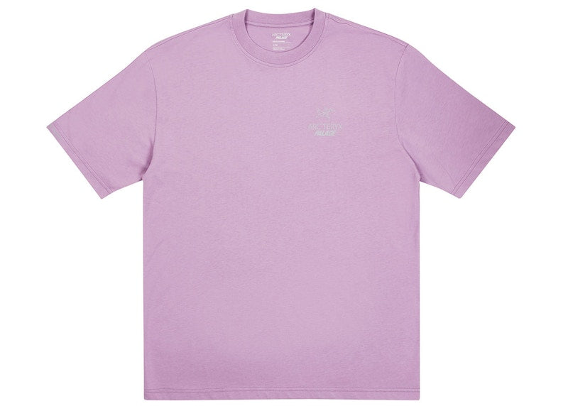 Palace Arc'teryx T-shirt Haze