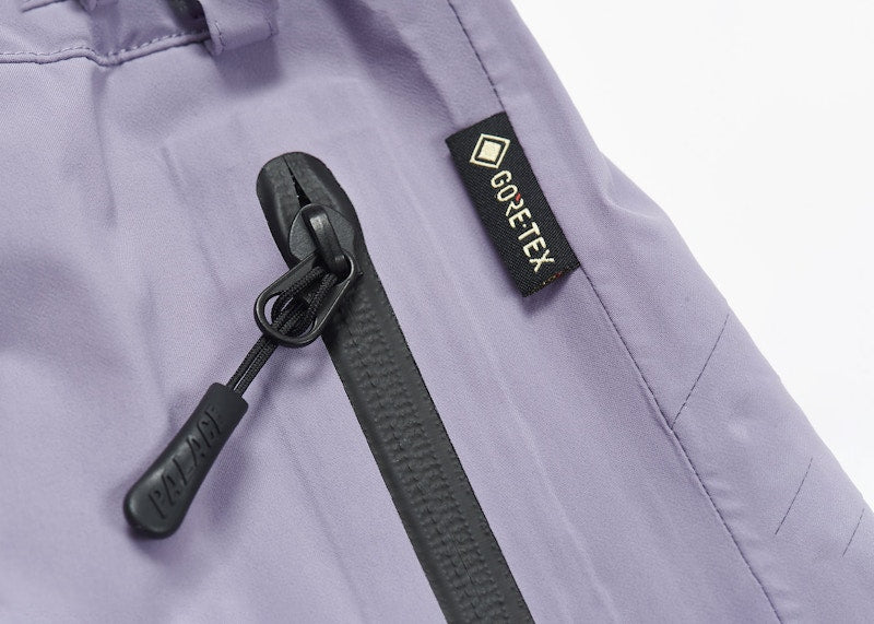Palace GORE-TEX S-Tech Shorts Purple