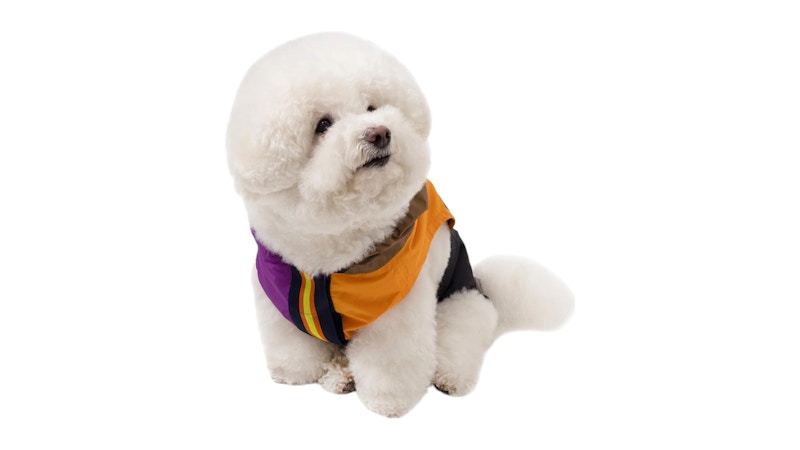 Palace K-Way Le Vrai 4.0 Horatio Dog Jacket Multicolor/Purple/Orange