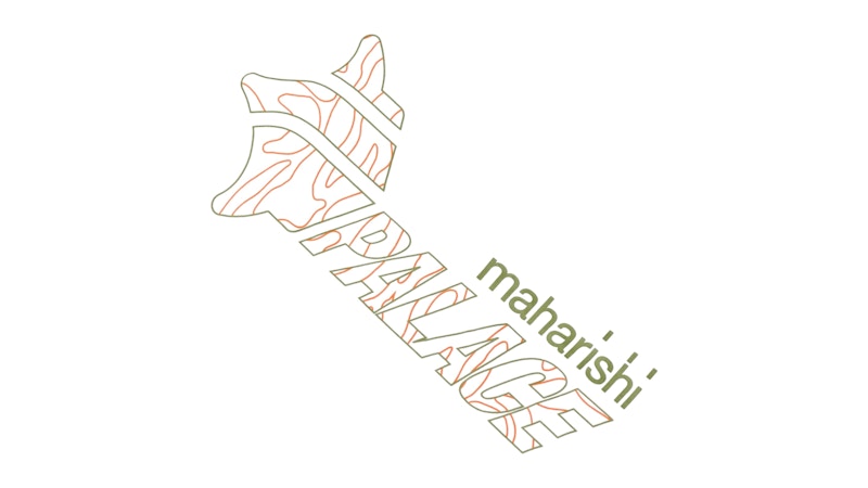 Palace Maharishi Temple Star T-Shirt White