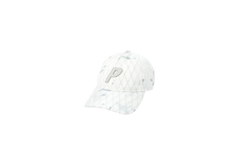 Palace Multicam P 6-Panel Alpine