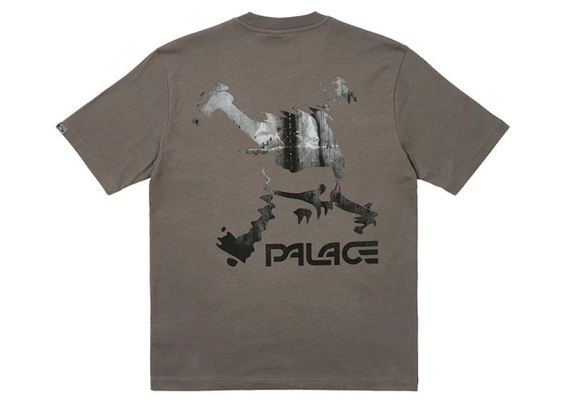 Palace x Oakley T-Shirt Grey