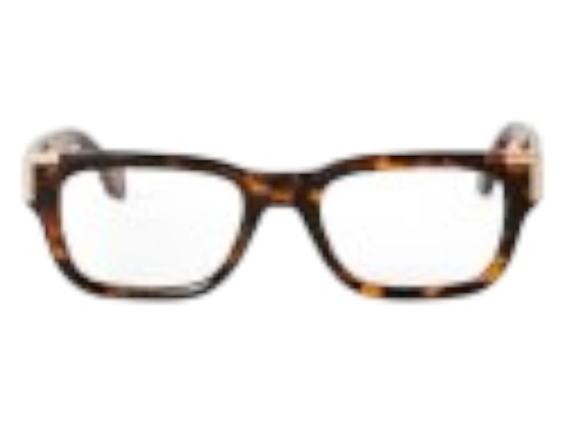 Palm Angels Style 11 Eyeglasses Havana Clear Lens (PERJ011F24PLA0016000)