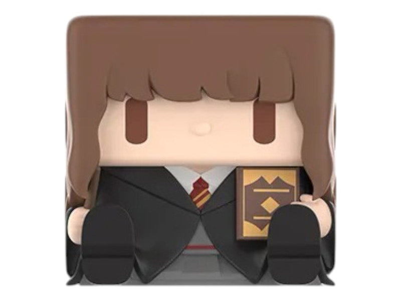 Pop Mart Harry Potter POP CUBE-3 Series Hermione Granger Figure