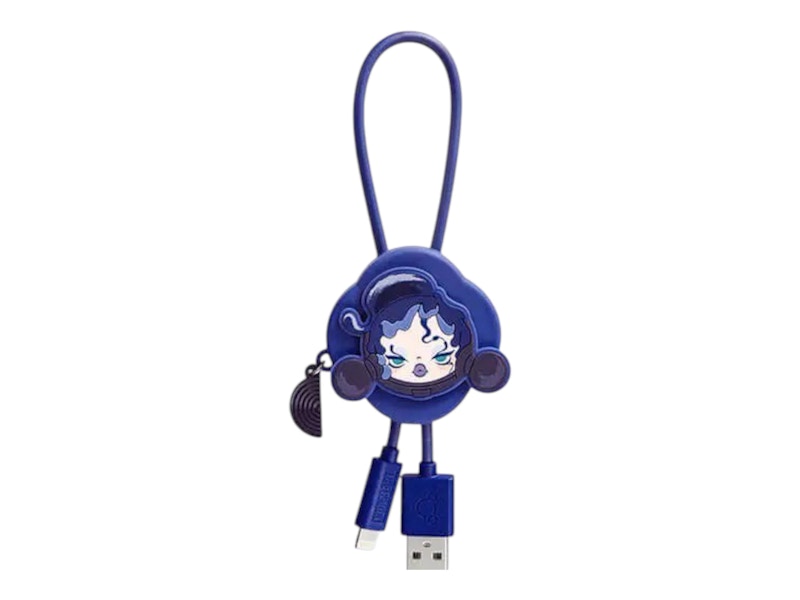Pop Mart SKULLPANDA The Ink Plum Blossom Series Line The Courtyard iPhone Cable