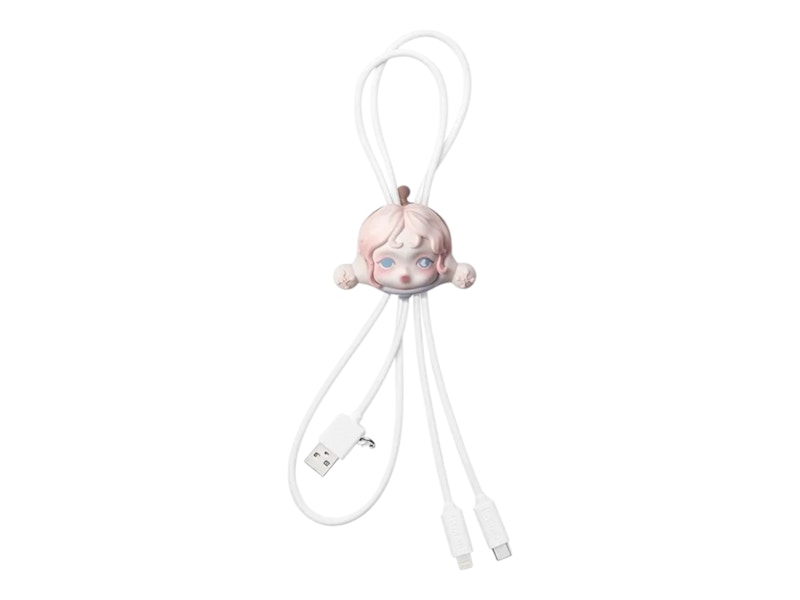 Pop Mart SKULLPANDA The Paradox Series The Key Secret Edition Cable