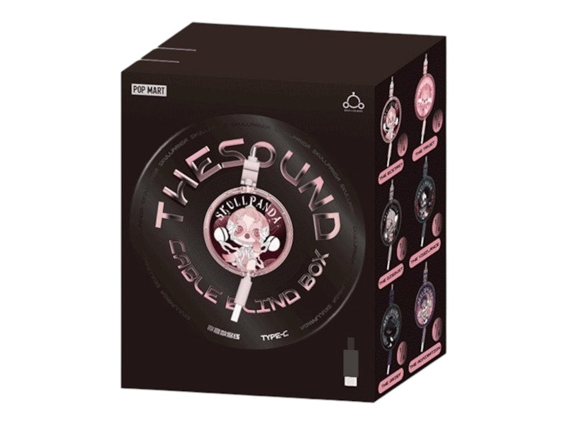 Pop Mart SKULLPANDA The Sound Series Type C Cable Single Blind Box