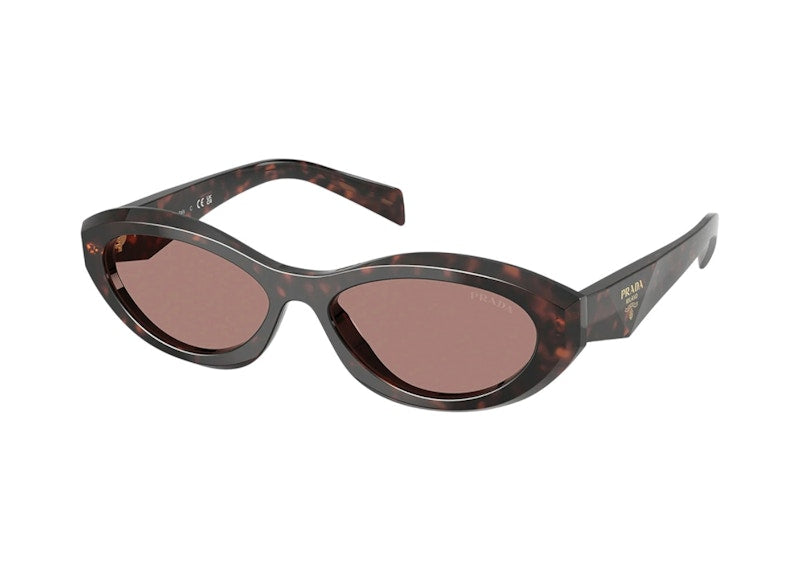 Prada Oval Sunglasses Root Tortoise (PR_26ZS_17N60B_55mm)