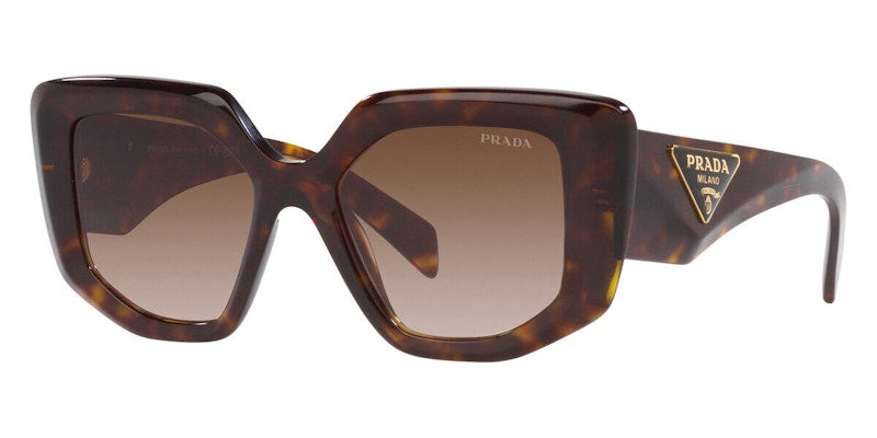 Prada Square Sunglasses Tortise (PR14ZSF-2AU6S1-52)