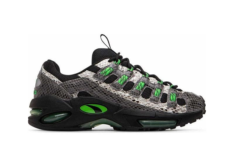 Puma Cell Endura Animal Kingdom Black