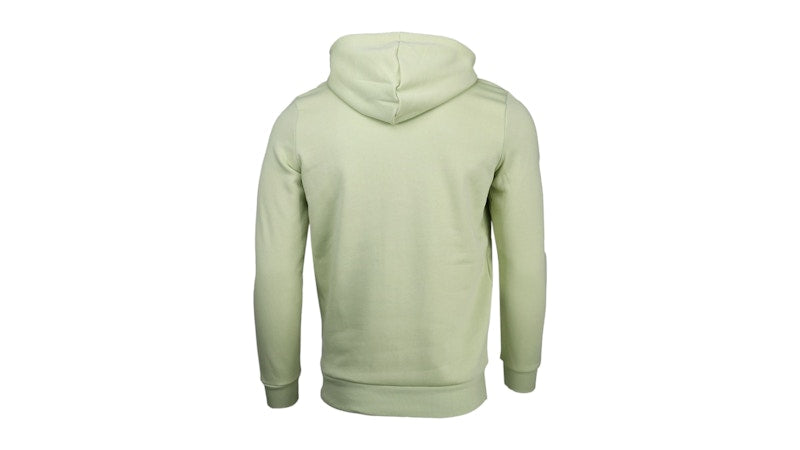 Puma Tonal Sportswear Graphic Full Zip Hoodie Pistachio Green
