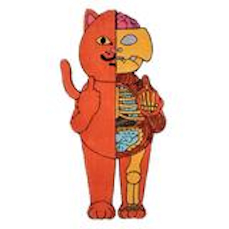 RIPNDIP Devil Anatomy Rug