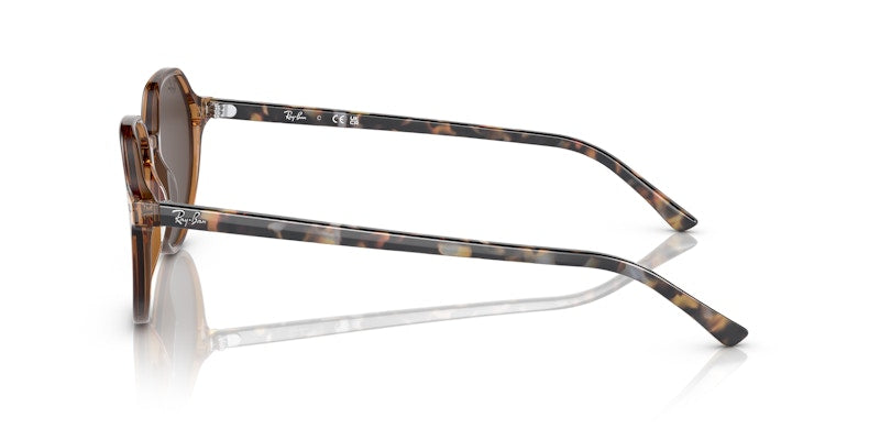 Ray-Ban Thalia Square Sunglasses Transparent Brown (0RB2195 663693)