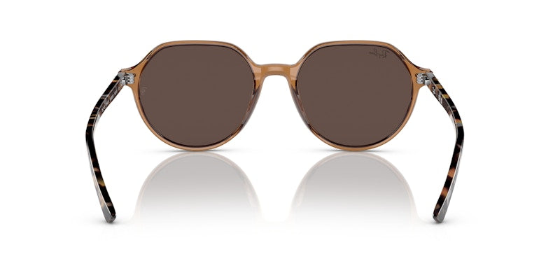 Ray-Ban Thalia Square Sunglasses Transparent Brown (0RB2195 663693)