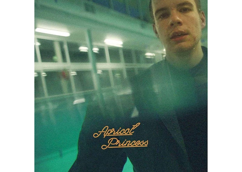 Rex Orange County Apricot Princess 5th Anniversary Edition 2022 Record Store Day Exclusive LP Vinyl Green