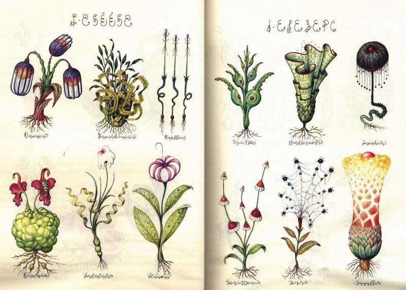 Rizzoli Codex Seraphinianus Book