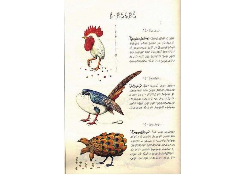 Rizzoli Codex Seraphinianus Book