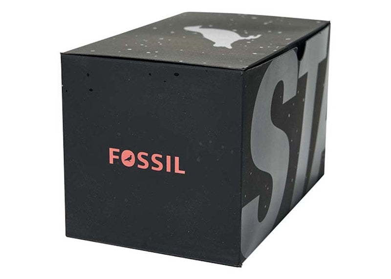 Staple x Fossil Sundial 3 Hand Automatic Movement Watch (Brown) Watch