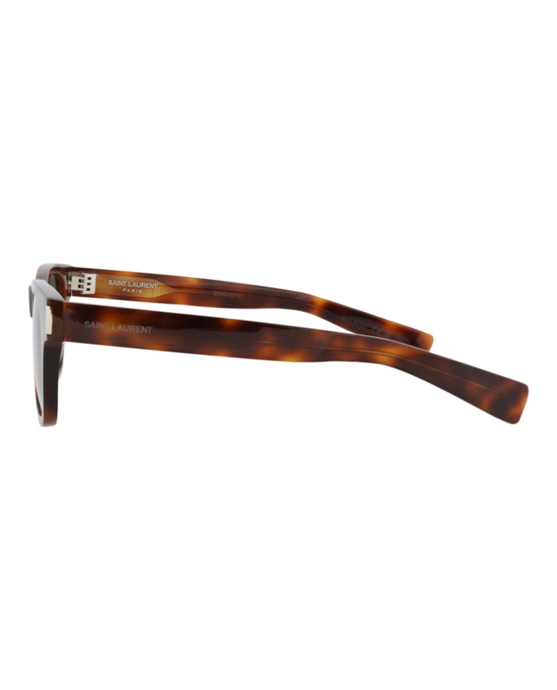 Saint Laurent Square-Frame Acetate Sunglasses Havana/Havana/Green (SL564-30013785-007)