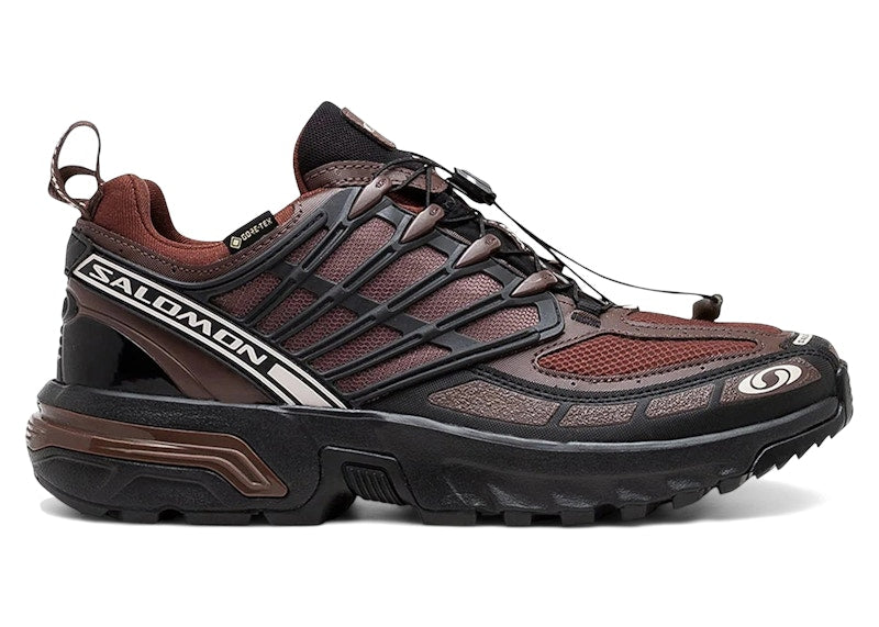 Salomon ACS Pro Gore-Tex Clay Rum Raisin