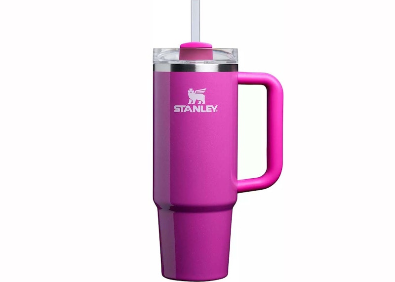 Stanley x Dicks Sporting Goods Winter Wonderland Collection Flowstate Quencher 30oz Tumbler Punch Shimmer