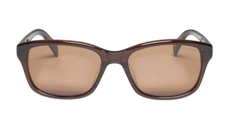 Stussy Alan Sunglasses Brown/Brown Lens