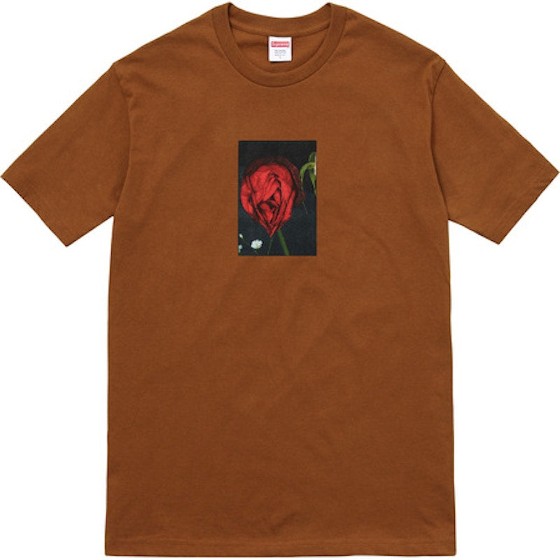 Supreme Akari Rose Tee Brown