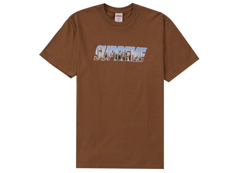 Supreme Gotham Tee Light Brown