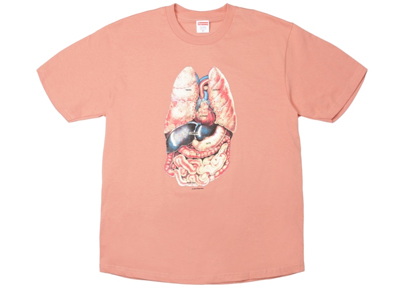 Supreme Guts Tee Terra Cotta